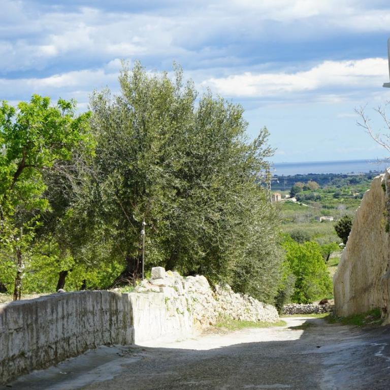 Baglio Netino Valentina - Casa Vacanze - 16