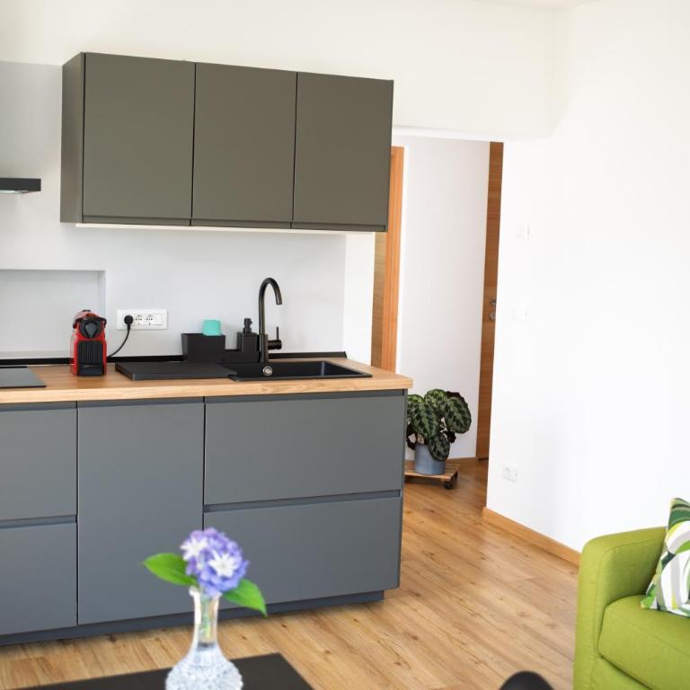 Texlhof - Stella Alpina - Apartment mit 1 Schlafzimmer und Aussicht - 14