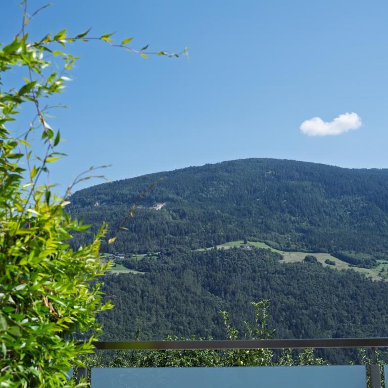Texlhof - Stella Alpina - Apartment mit 1 Schlafzimmer und Gartenblick - 6