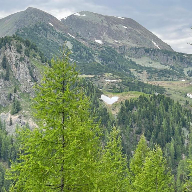 Appartement Morgensonne - Sonniger Bergblick über Bad Kleinkirchheim - Apartment mit 2 Schlafzimmern - 32