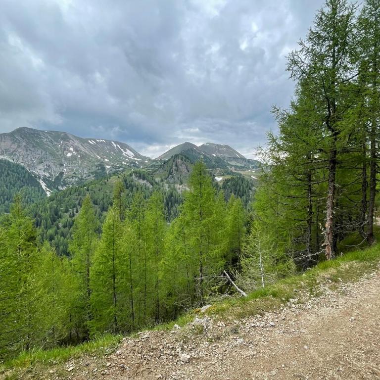Appartement Morgensonne - Sonniger Bergblick über Bad Kleinkirchheim - Apartment mit 2 Schlafzimmern - 31