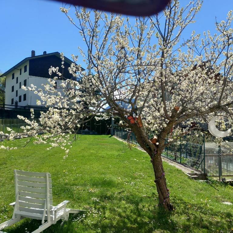 The Green Owl - Villa con 3 Camere da Letto - 31