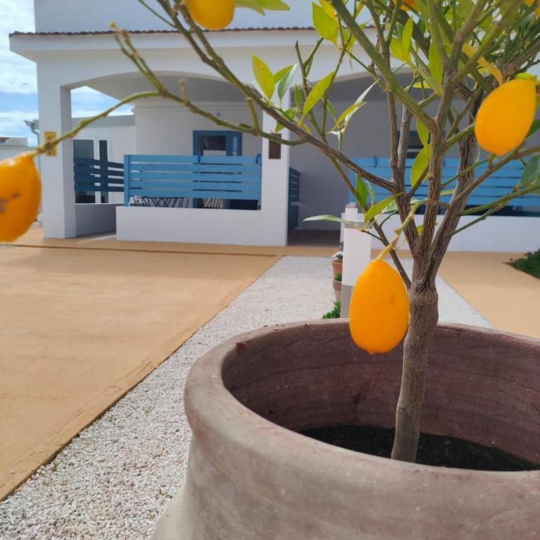 maremì - Marzamemi - Camera Matrimoniale con Patio - 2