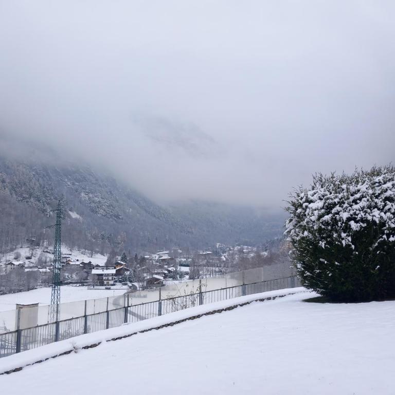 The Green Owl - Villa con 3 Camere da Letto - 21