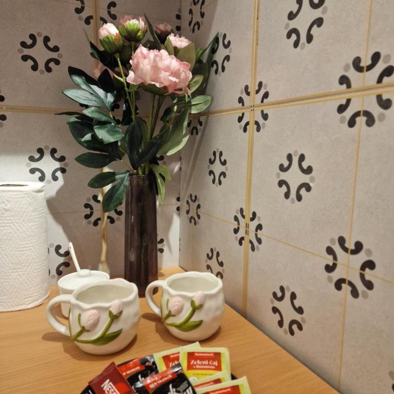 Apartmani Milica Banja Luka - Apartman sa Balkonom - 4