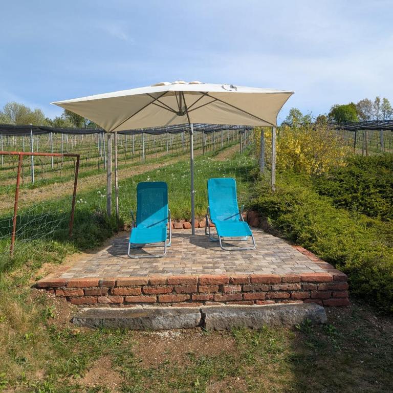 kleine Reblaus - Vacation Home - 15