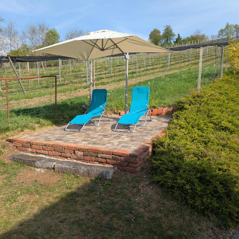 kleine Reblaus - Vacation Home - 14