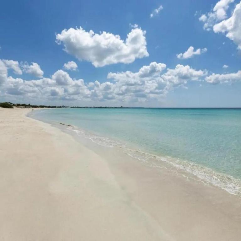 Grand Villa Lapillo Sea View Estate with Terrace - Casa Vacanze - 31