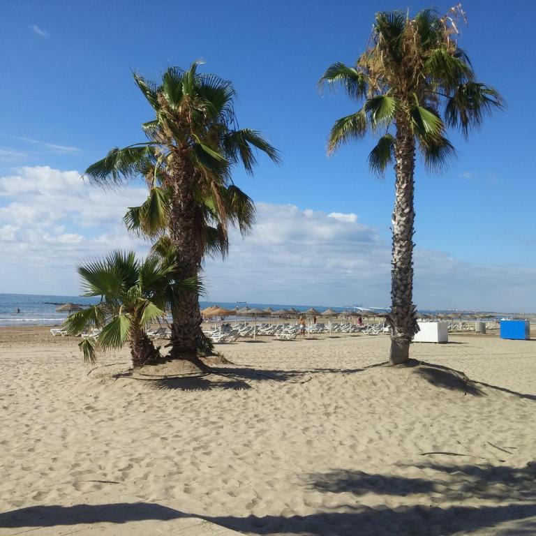 Playa Almadraba 1ª linea - Three-Bedroom Apartment with Sea View - 19