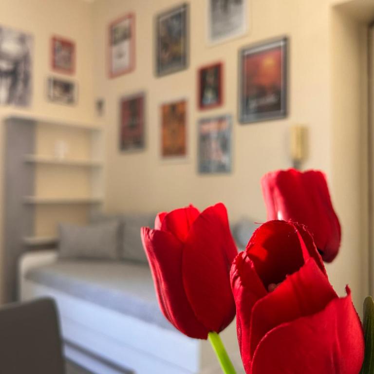 A casa di Gio - Appartamento con 1 Camera da Letto - 32