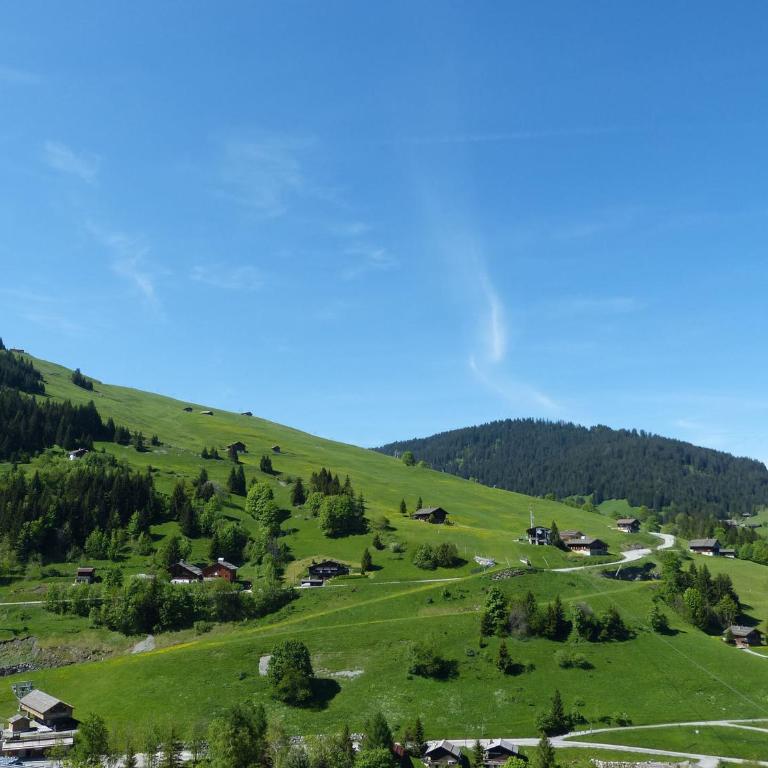 Appartement cosy, pied de piste, cheminée, animaux admis - FR-1-304-153 - Apartment (6 Erwachsene) - 3