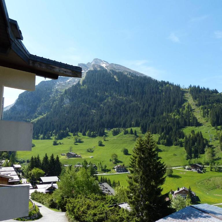Appartement cosy, pied de piste, cheminée, animaux admis - FR-1-304-153 - Apartment (6 Erwachsene) - 12