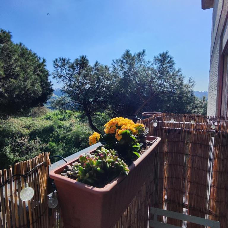 Sage Green House Roma Gemelli - Appartamento con 1 Camera da Letto - 4