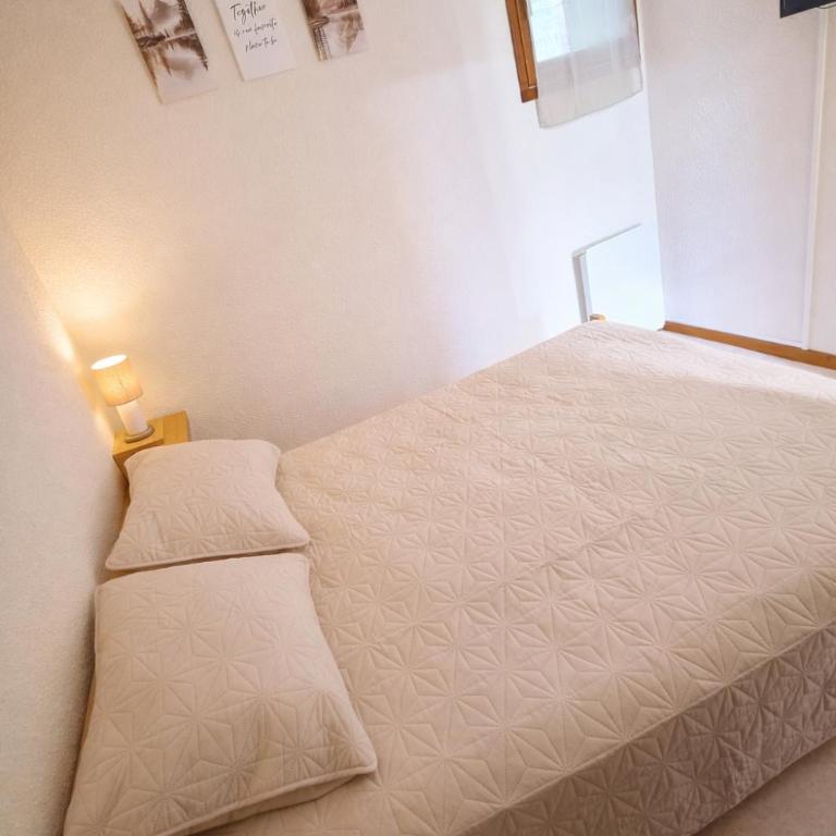 Vue montagne exceptionnelle T2 Cosy avec Balcon proche du lac - Appartement 1 Chambre - 8