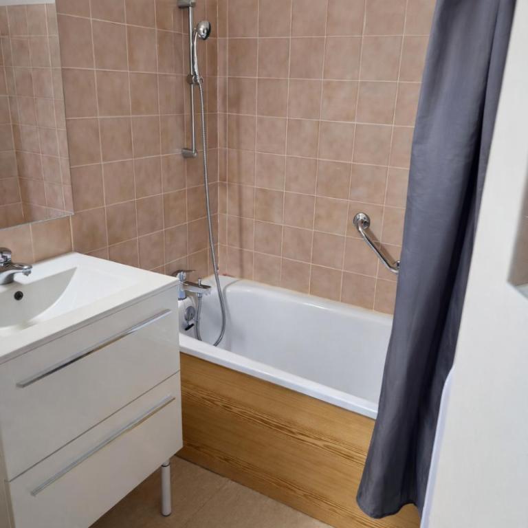 Vue montagne exceptionnelle T2 Cosy avec Balcon proche du lac - Appartement 1 Chambre - 10