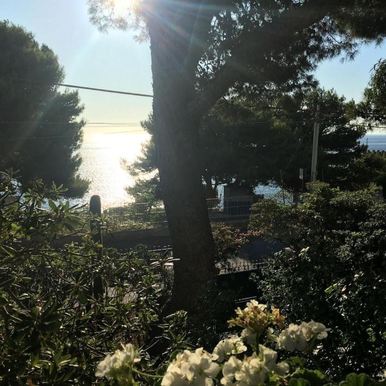 Pinetina al mare - Two-Bedroom House - 13