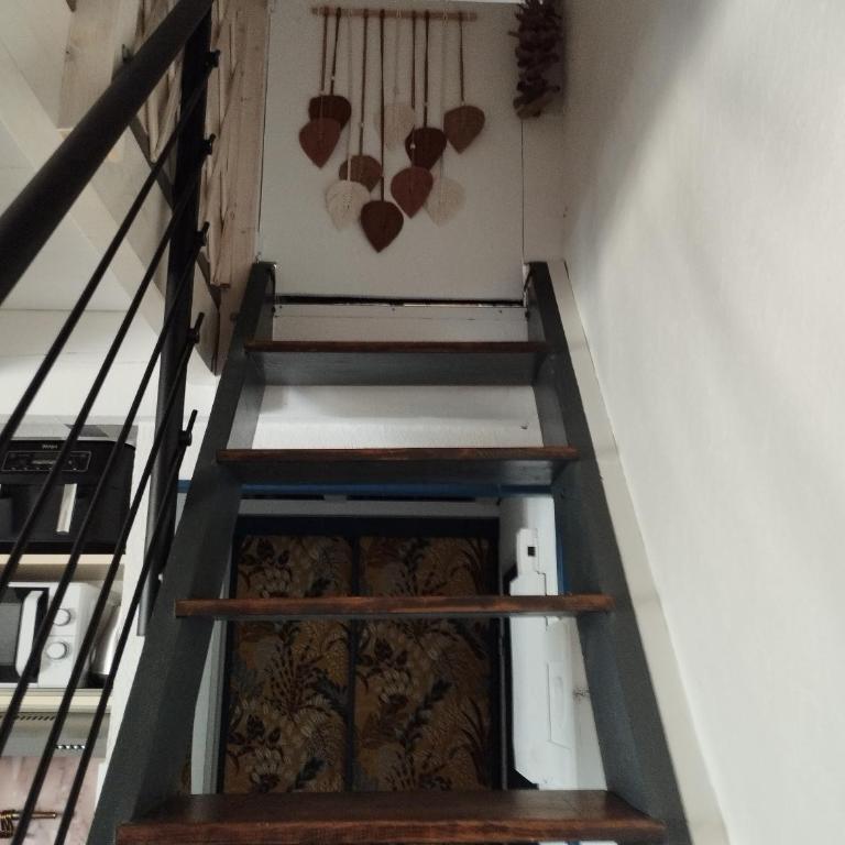 Appartement T2 40 m2 Argelès-sur-Mer, proche plage, commodités à pied, réservable du dimanche au dimanche - Appartement 2 Chambres - 12