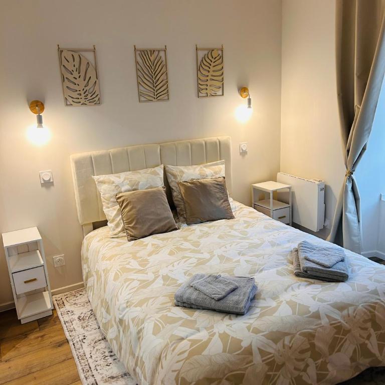 Charmants T2 rénovés - Jardin - Centre ville - Apartamento Superior de 1 dormitorio - 17