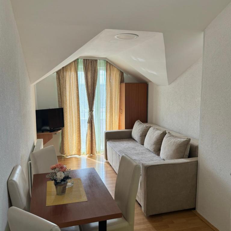 KONAK ViLA MIRKOVIĆ - Apartman Tipa "Suite" sa 1 Spavaćom Sobom - 4