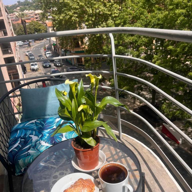 De Gaulle 2 pièces Сentral Appartement - Apartment mit 1 Schlafzimmer - 5