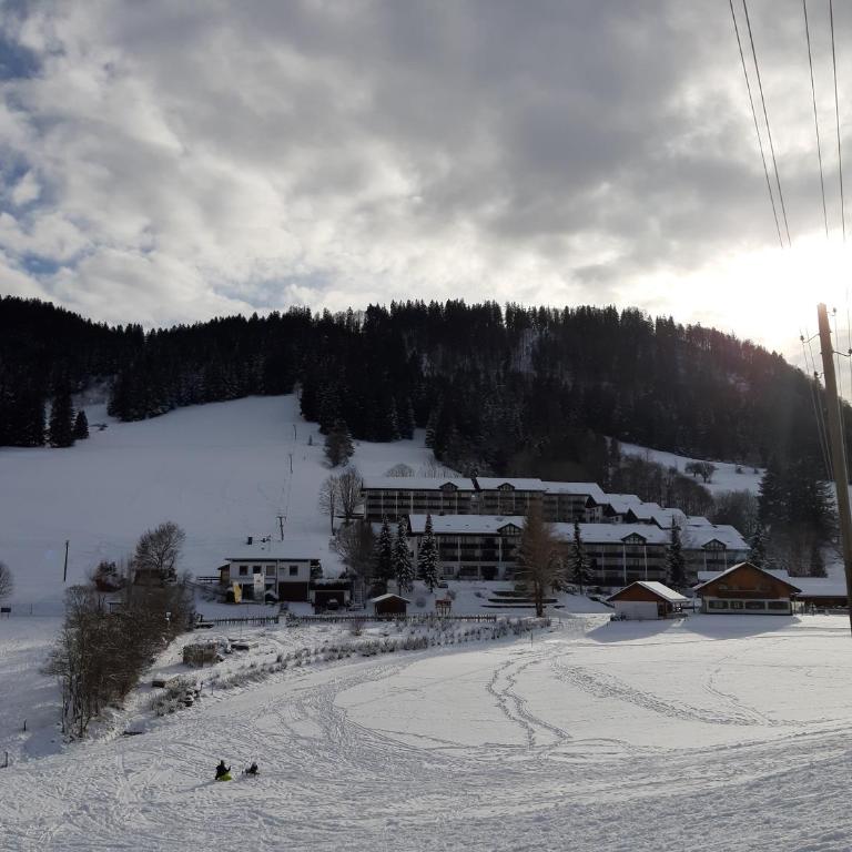 FeWo Alpenveilchen im Oberallgäu mit Pool, Sauna und tollem Ausblick vom großen Balkon - Apartment mit 1 Schlafzimmer - 20