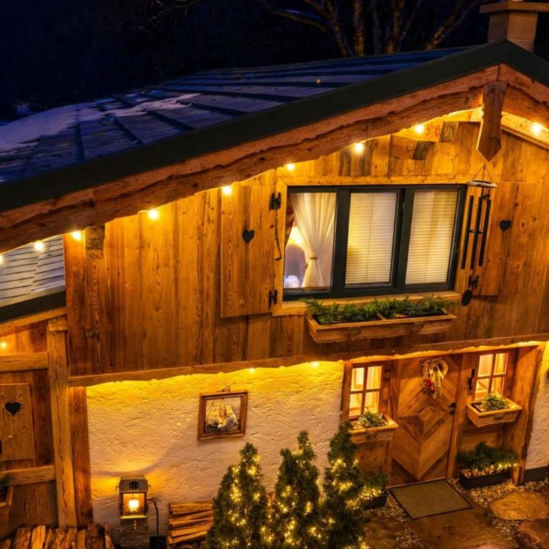 Chalet-Kitzalpen - Chalet mit 1 Schlafzimmer - 1