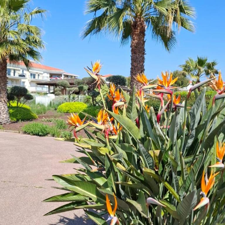 Bel appartement en bord de mer avec piscine lagon et jardin, en résidence sécurisée - Appartement 2 Chambres - 51