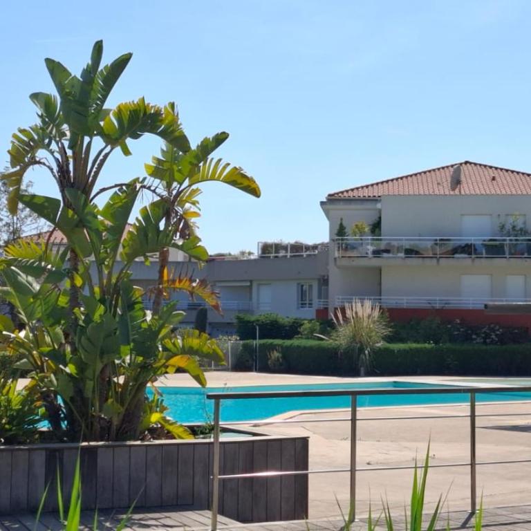 Bel appartement en bord de mer avec piscine lagon et jardin, en résidence sécurisée - Appartement 2 Chambres - 45