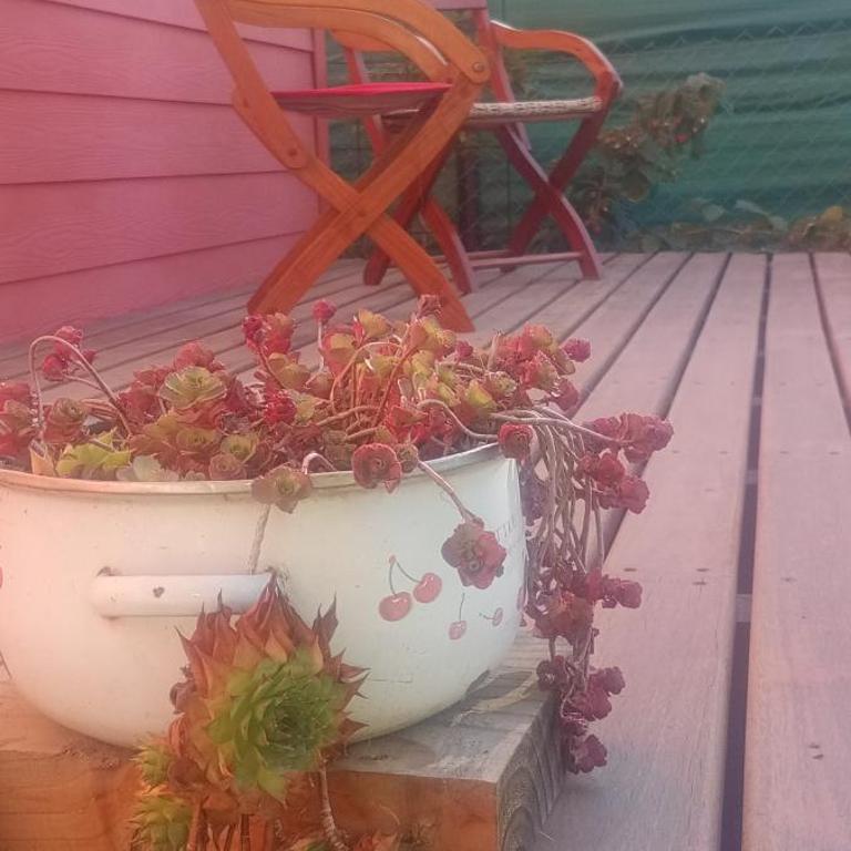 Amapolas monoambiente - One-Bedroom House - 19