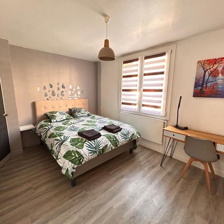 Bel appartement centre-ville - Appartement 1 Chambre - 3