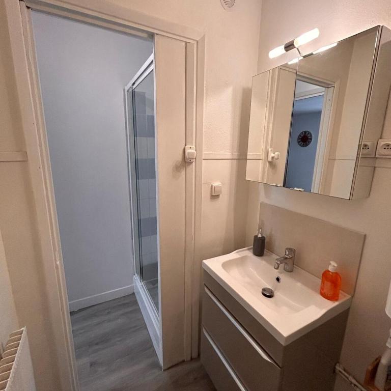 Bel appartement centre-ville - Appartement 1 Chambre - 8