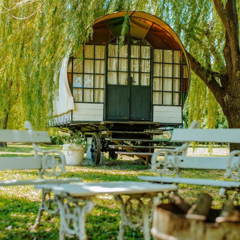 Don Aniceto Lodges & Glamping - Tienda - 1