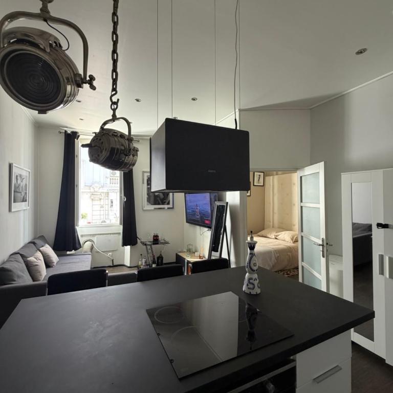 Appartement moderne et chaleureux à 2 minutes du Palais - Appartement 1 Chambre - 5