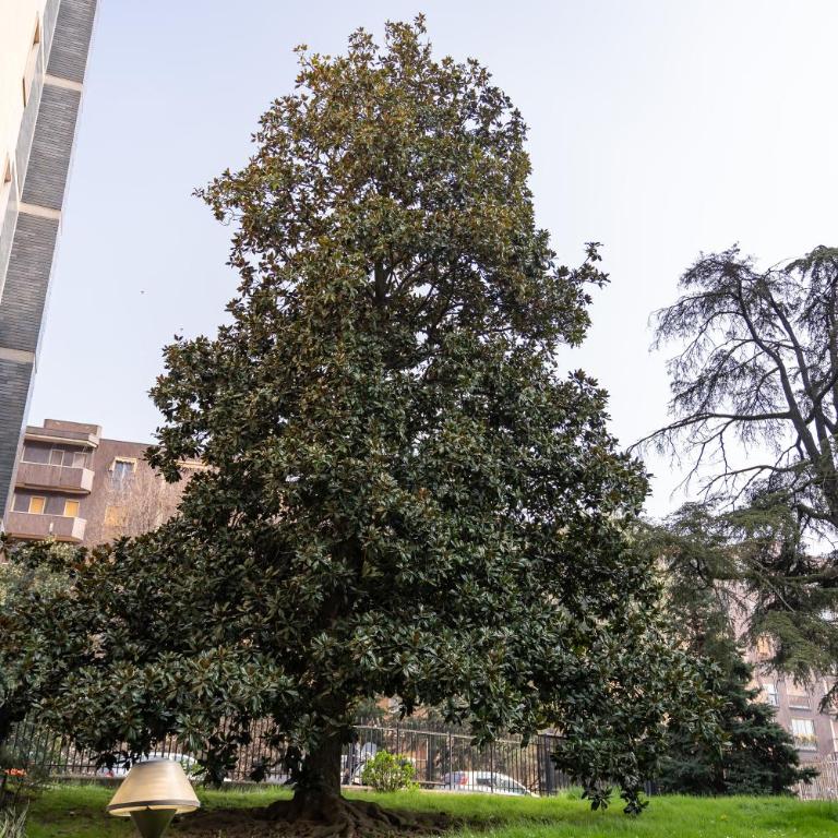 La Magnolia - appartamento completo a Milano Sud - Appartamento con 1 Camera da Letto - 25