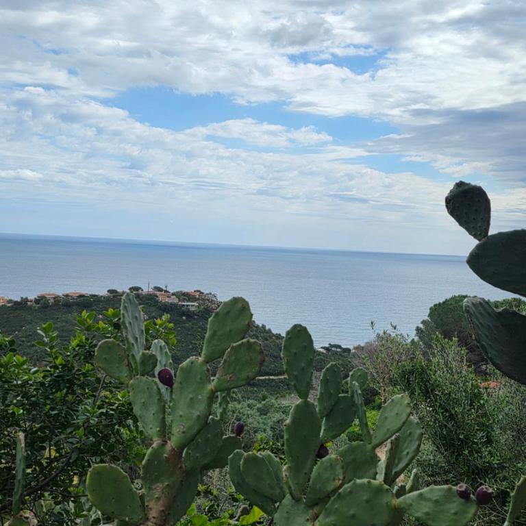 Kalimera 1 - Casa con 2 Camere da Letto - 7