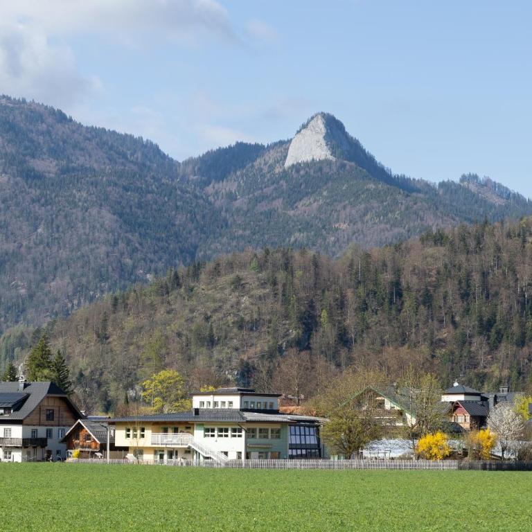 Ferienwohnung Primula - Urlaub am Wolfgangsee - Appartement 1 Chambre - 9