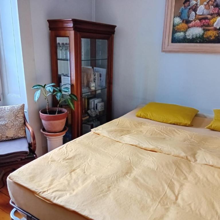Spacious unique 150m2 apartment Geneva city center - Appartement 3 Chambres - 10