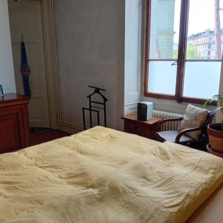Spacious unique 150m2 apartment Geneva city center - Appartement 3 Chambres - 11