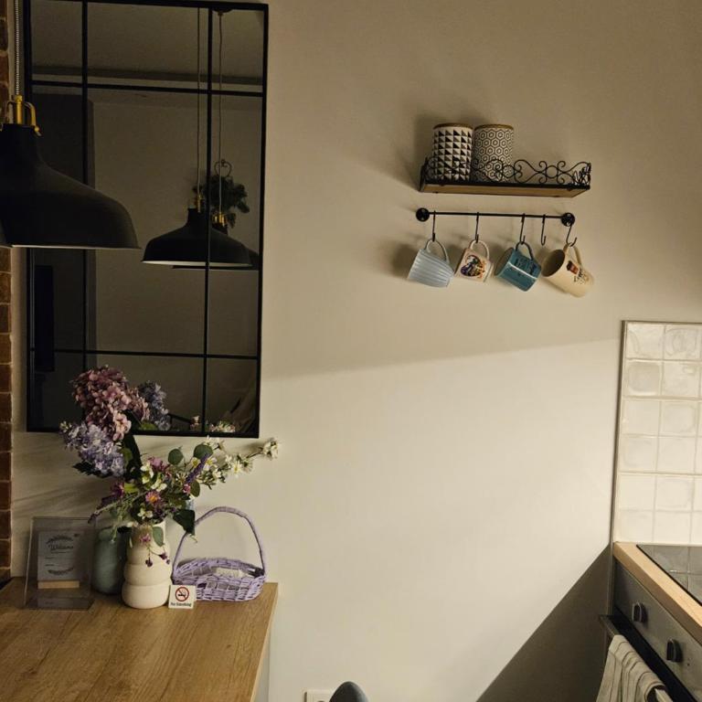 Casa Mia Urban Apartment Zlatibor - One-Bedroom Apartment - 21