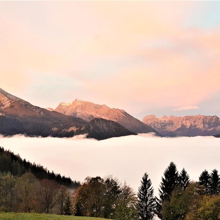 5 Bergpanorama und herrliche alpinen Almlandschaft für absolute Nichtraucher - Apartment - 16
