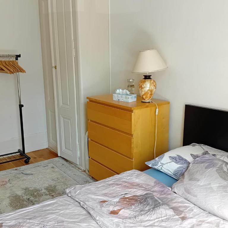 Spacious unique 150m2 apartment Geneva city center - Appartement 3 Chambres - 6