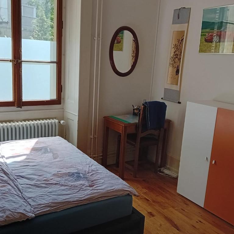 Spacious unique 150m2 apartment Geneva city center - Appartement 3 Chambres - 5