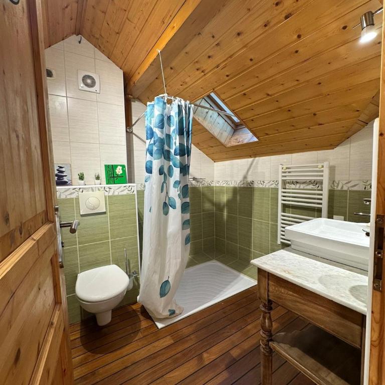 Duplex 6 personnes vue montagne Parking privé proche Alpe d'Huez - Appartement 2 Chambres avec Vue sur la Montagne - 27