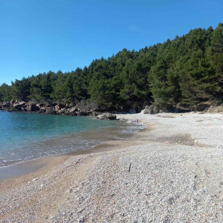 Vila mira - Apartman sa 2 Spavaće Sobe - 16