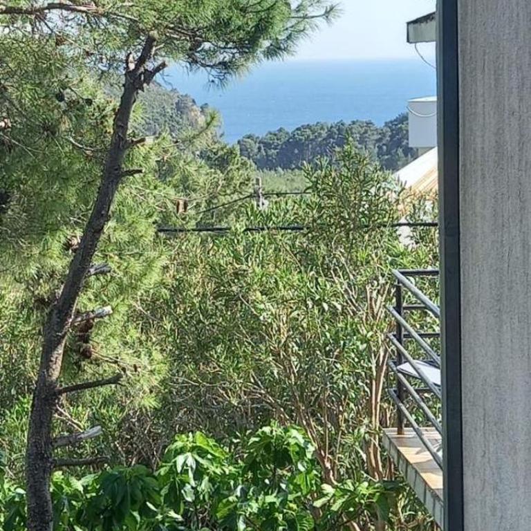 Vila mira - Apartman sa 2 Spavaće Sobe - 10