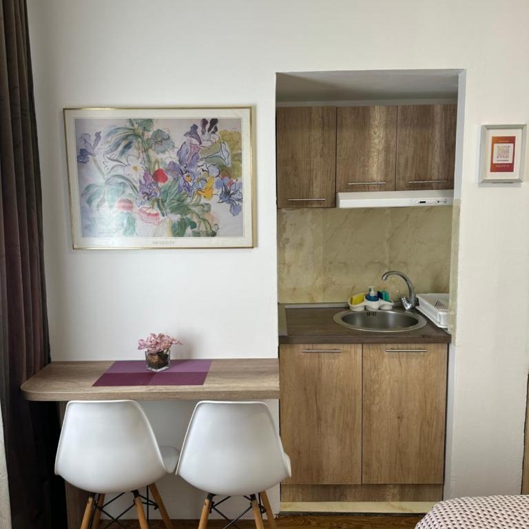 S&N Apartments Nis - Standard Double Room - 6