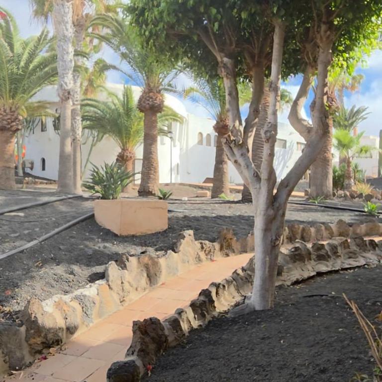 Fuerte Happy Stay - Apartamento de 1 dormitorio - 18