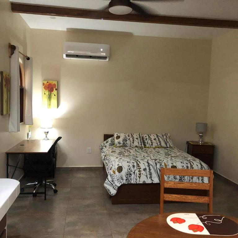 El Cofre de los Tesoros - Estudio con 1 cama grande - 8