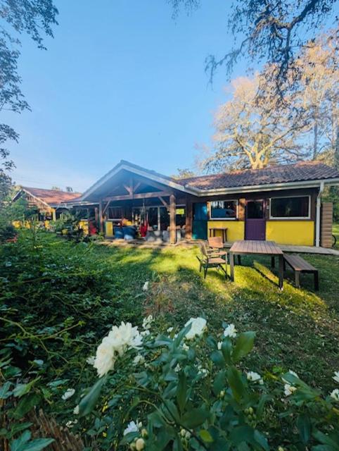 Les Hébergements Nature et Bien-être - Chambre Triple - Vue sur Jardin - 6
