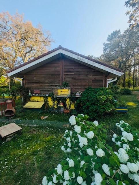 Les Hébergements Nature et Bien-être - Chambre Triple - Vue sur Jardin - 9
